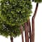 4ft. Potted Boxwood Topiary Tree